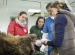 Прегледаха 9 от мечките в парка край Белица