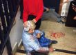 337 жертви на испанската полиция за свободата на Каталуня