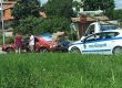 Нов вид 