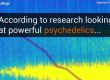 Учени: DMT променя мозъчните вълни в „състояние на мечта“