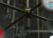 # С ВАС СМЕ проф. Иво Христов подкрепя Румен РАДЕВ и Илияна ЙОТОВА