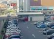 Слон избяга от цирк в Ирландия
