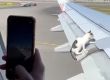  Котка върху горещо крило на самолет